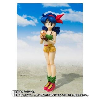 S.H FIGUARTS LUNCH -DRAGON BALL